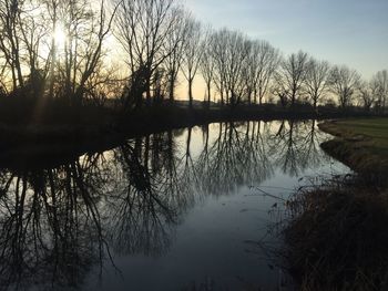 Reflection of bare trees in lake against sky