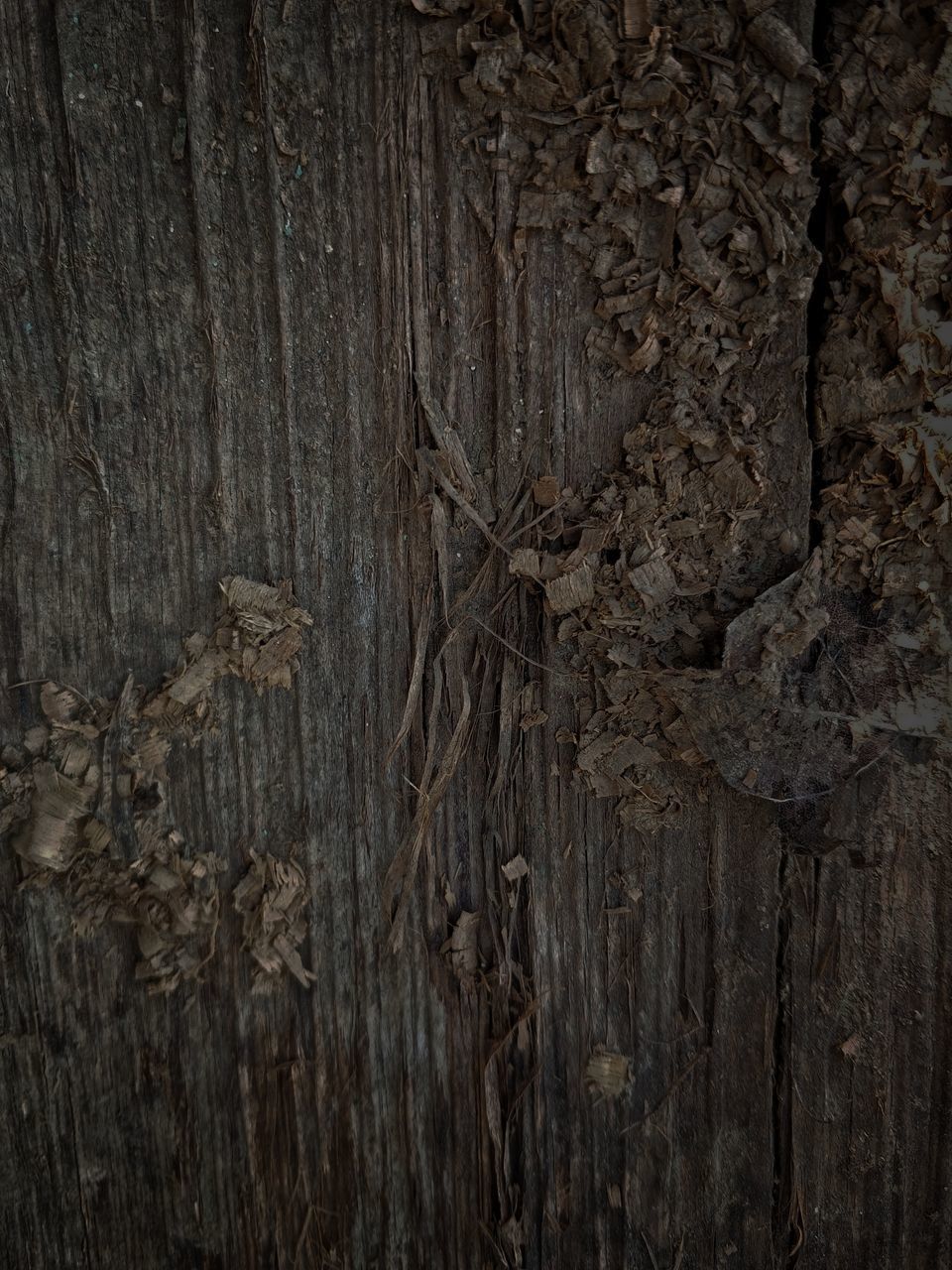 wood, backgrounds, textured, full frame, no people, pattern, close-up, soil, brown, rough, floor, tree, dark, wood grain, old, plank, flooring, trunk, indoors, weathered, nature