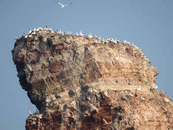 Low angle view of rock formation against sky