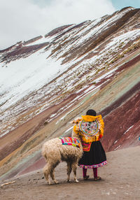 Rear view of people walking on snow covered land