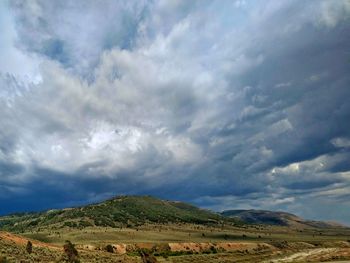 Scenic view of field against sky