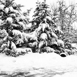 Scenic view of snow covered landscape