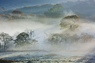 Morning mist in north wales
