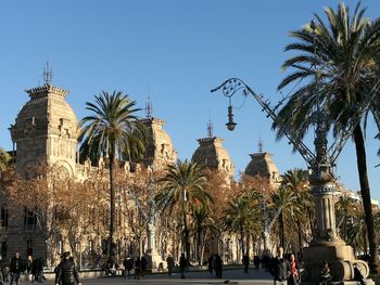 Palm trees in city against clear sky