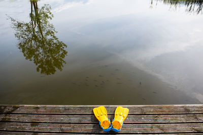 High angle view of wood against sky