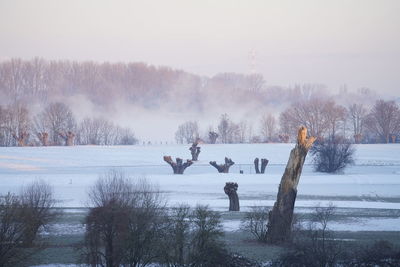 People walking on snow covered landscape