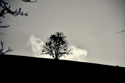 Low angle view of silhouette tree against clear sky