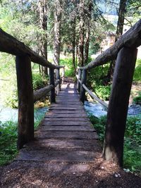 Boardwalk amidst trees