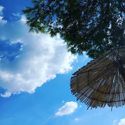 Low angle view of tree against sky