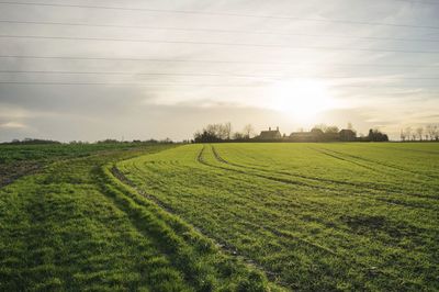 Scenic view of grassy field against cloudy sky