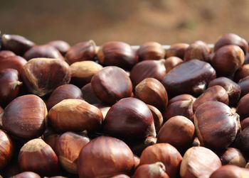 Close-up of blueberries