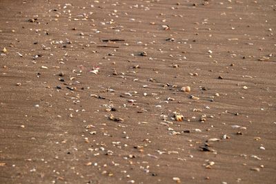 Full frame shot of sand