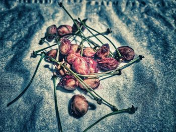 High angle view of berries on table