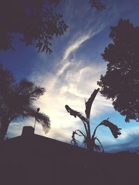 Low angle view of silhouette tree against sky during sunset