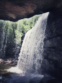 View of waterfall in forest