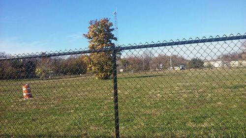 Trees on field seen through chainlink fence against clear sky