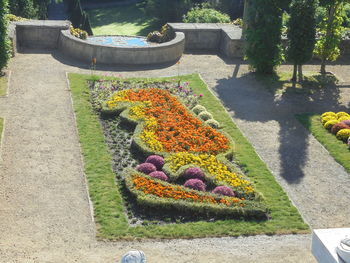 High angle view of formal garden