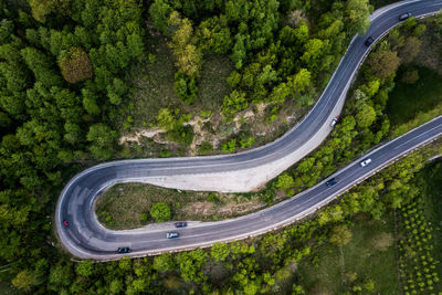 Aerial view of road amidst trees in forest