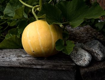 Close-up of fruit on table