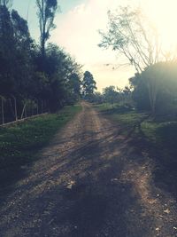 Dirt road passing through field