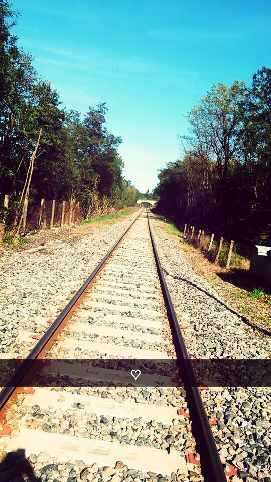 railroad track, transportation, rail transportation, tree, the way forward, diminishing perspective, clear sky, vanishing point, railway track, sky, metal, day, outdoors, blue, long, no people, straight, public transportation, sunlight, surface level