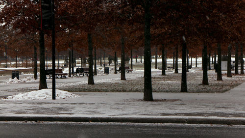 Empty road in park during winter