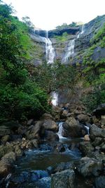 Scenic view of river flowing through forest