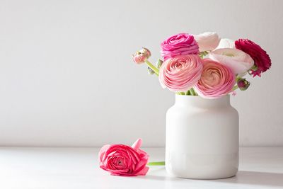 Close-up of pink ranunculus in vase on table