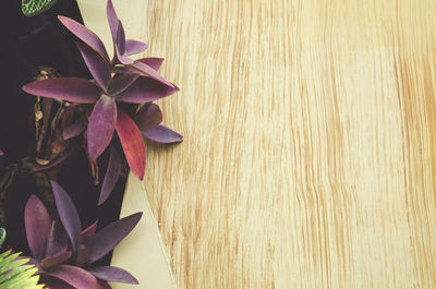 High angle view of plants by wooden table