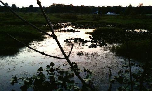 water
