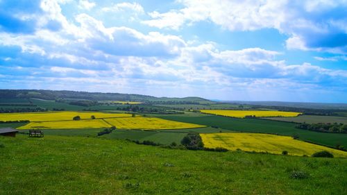 Scenic view of field against sky