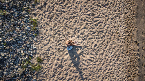 High angle view of person standing on beach