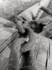 Close-up of rusty chain on wood