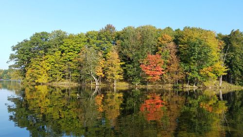 Scenic view of lake against clear sky during autumn