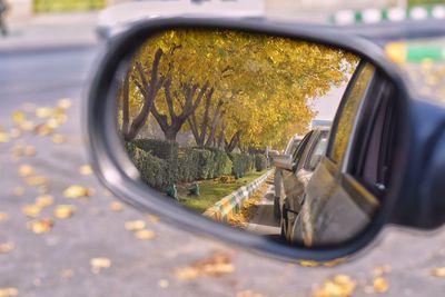 Reflection of car on side-view mirror