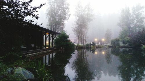 Reflection of trees in calm water