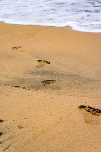 High angle view of footprints on beach