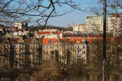 High angle view of trees and buildings in city