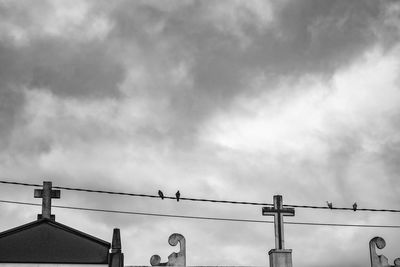 Low angle view of silhouette birds against sky