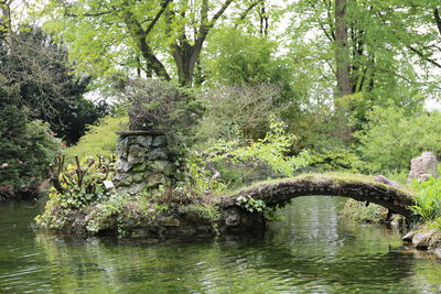 Scenic view of lake