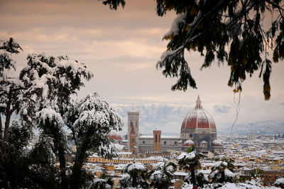 View of trees in city during winter