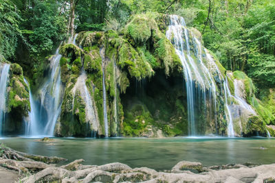 Scenic view of waterfall in forest