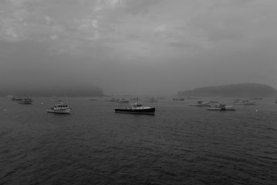 Boats sailing in sea