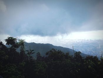 Trees on mountain against sky