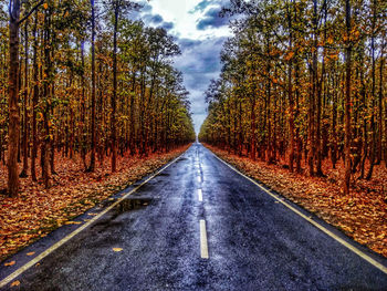 Road amidst trees in forest against sky during autumn