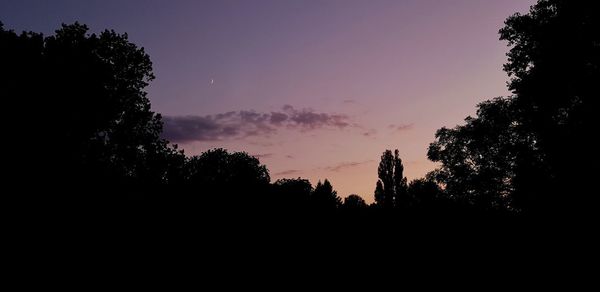 Low angle view of silhouette trees against sky during sunset