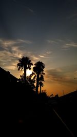 Silhouette palm trees against sky during sunset