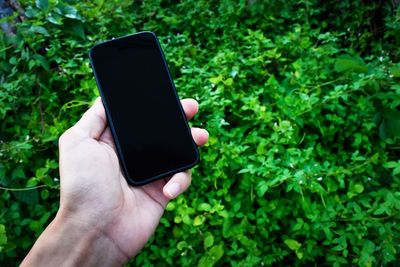Close-up of hand holding mobile phone against plants