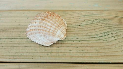 Close-up of bread on table