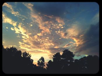 Silhouette trees against sky during sunset